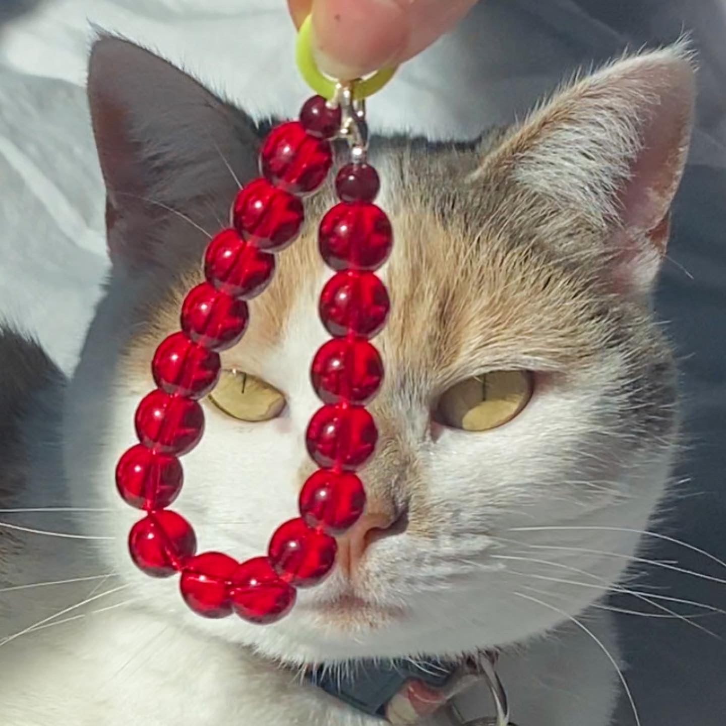 Red Bubble Bracelet