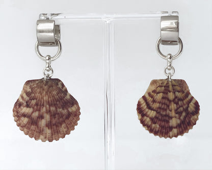 Detachable Shell Pendant Earrings (1 of 1)